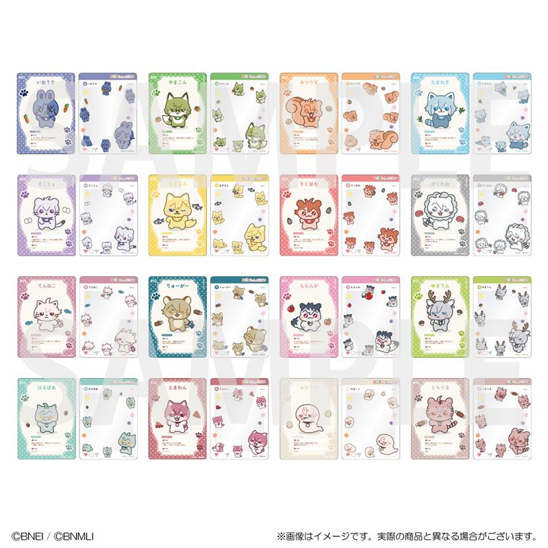 クリアカードコレクション BOX 全体
