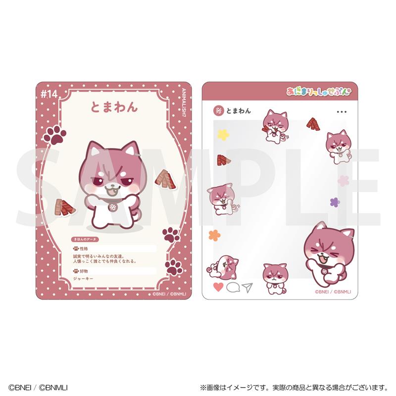 クリアカードコレクション カード14