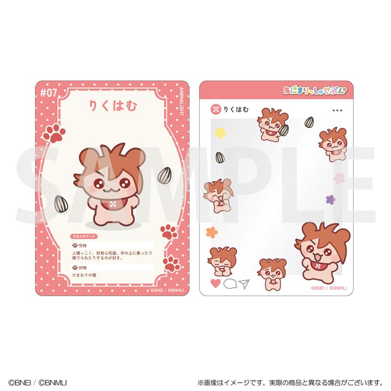 クリアカードコレクション カード7
