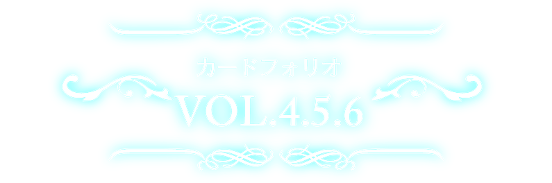 カードフォリオ VOL.4.5.6