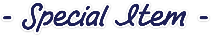 Special Item