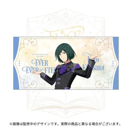 THE IDOLM@STER SideM 11th STAGE ～EVER EVER＠FTER～ 公式ビッグ
