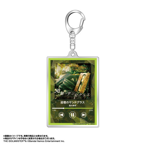 水夏希  退団記念DVDキーホルダー付き 水夏希 退団記念DVDキーホルダー付き