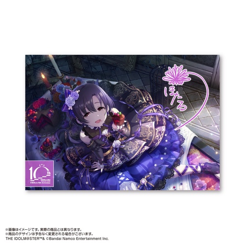 アイドルマスター　カードフォリオ　SSR サイン　11枚セット アイドルマスター カードフォリオ SSR サイン 11枚セット